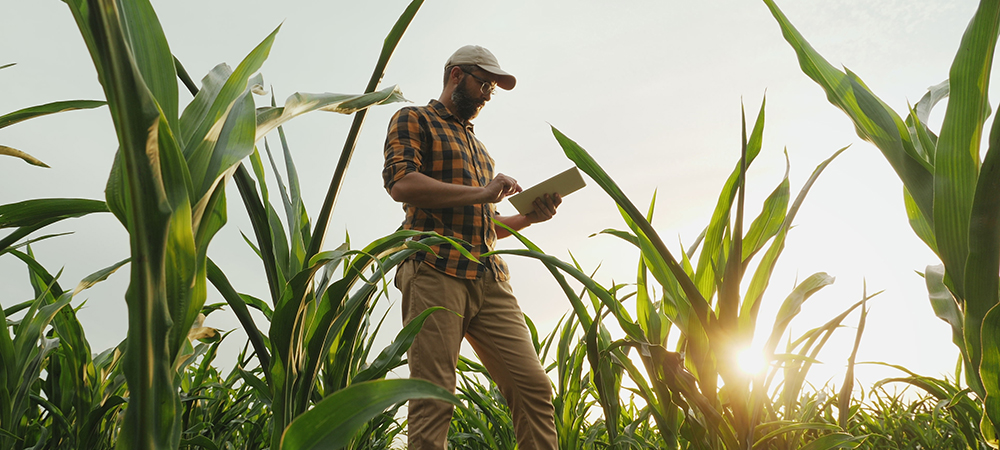 Data governance in agribusiness